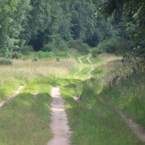 IcknieldWay1