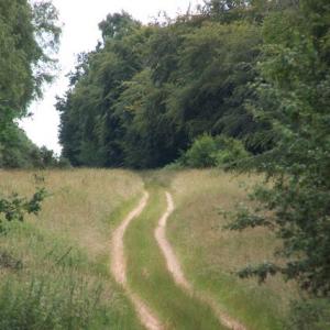 IcknieldWay4