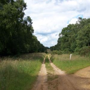 IcknieldWay5