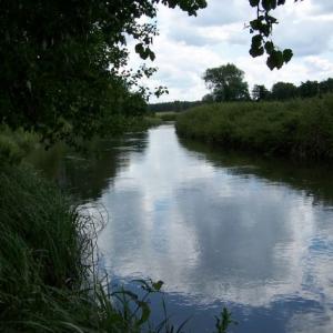 LarkPloughLong